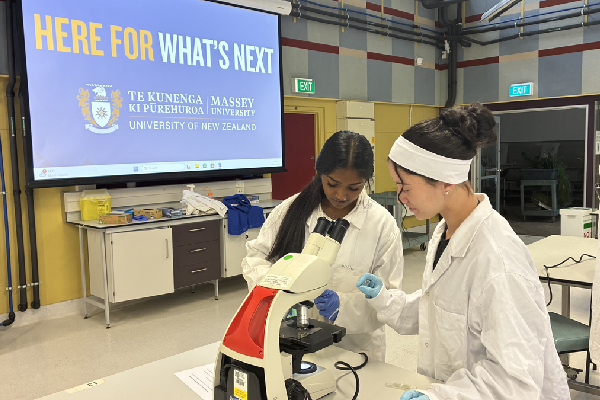 Fluid images